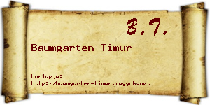 Baumgarten Timur névjegykártya